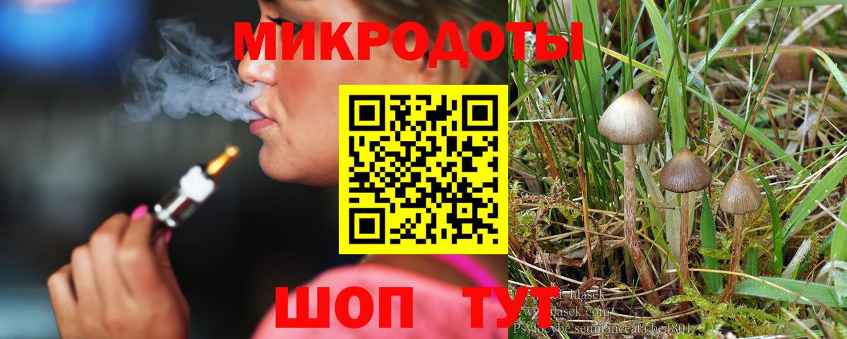 Псилоцибиновые грибы Magic Shrooms Новокубанск
