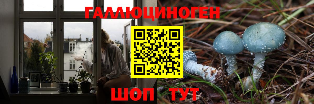 Новокубанск  Псилоцибиновые грибы Magic Shrooms  Вход с VPN 